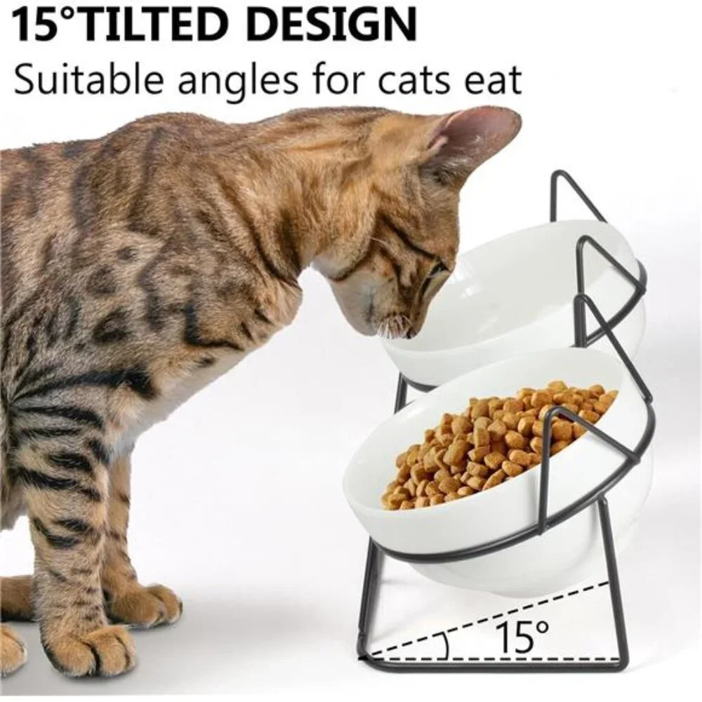 Elevated Tilted Cat Bowls for Indoor Cats，Raised Ceramic Cat Bowl Elevated15°